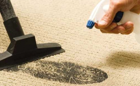 Как правильно ухаживать за ковровыми покрытиями
